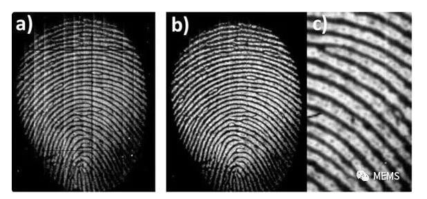 荷兰科学家研发新型柔性高分辨率指纹识别传感技术